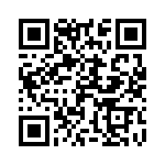 2-520409-2 QRCode