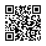 20100630001P QRCode