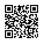 20101000531P QRCode