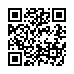 20101600431P QRCode