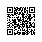 2225J0250563KCR QRCode