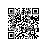 2225Y0250271KCR QRCode