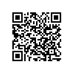 2225Y0250331KFT QRCode