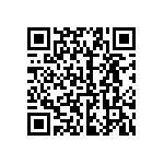 2225Y0250333KCR QRCode