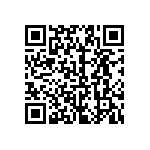 2225Y0250393MDT QRCode