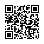 24282-31PG-300 QRCode