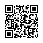 2455R09130064 QRCode