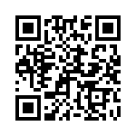 250R05L2R7BV4T QRCode