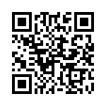 250R05L5R6BV4T QRCode