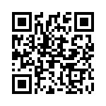 2900325 QRCode