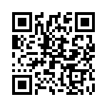 2903243 QRCode