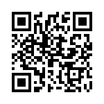 2905198 QRCode