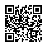 2905236 QRCode