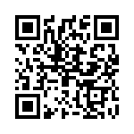 2905238 QRCode