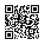 2907203 QRCode