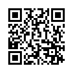 2907485 QRCode