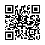 2907497 QRCode