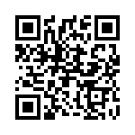 2907505 QRCode