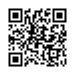 2907552 QRCode