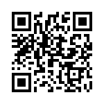 2909519 QRCode