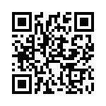 2B1 QRCode