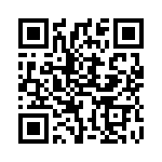 2VAQ-4B QRCode