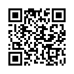 3-1734383-2 QRCode