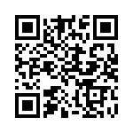 300100220111 QRCode