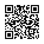 300100240121 QRCode