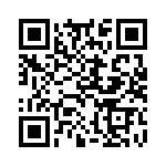 300100780070 QRCode