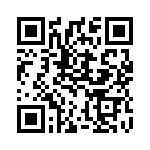 3060717 QRCode