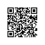 310-13-153-41-001000 QRCode