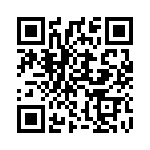 31251 QRCode