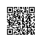 316-87-123-41-013101 QRCode