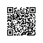 316-87-162-41-018101 QRCode