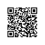 346-012-541-804 QRCode