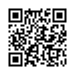 353LB5I384T QRCode