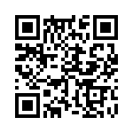 353NB3I307T QRCode