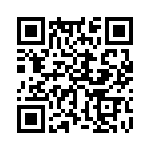 353NB3I655T QRCode