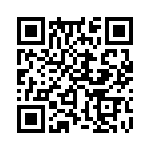 353NB5A480T QRCode