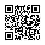 353NB5C384T QRCode