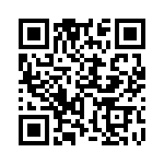 353NB6A163R QRCode