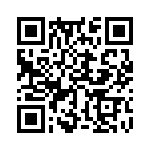 353TB3I081T QRCode