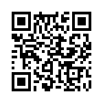 353TB5A250T QRCode