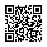 353VB5I491T QRCode