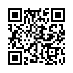 353WB3I081T QRCode