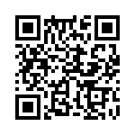 353WB5A250T QRCode