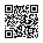 353WB6A250T QRCode