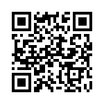 3833-1 QRCode