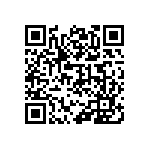 399-V3-124-10-009101 QRCode